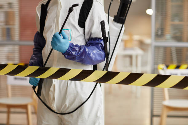 Professional Infectious Disease Decontamination technician working in Applegate, CA